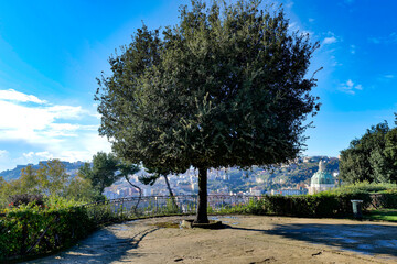 A view of the city from Capodimonte Park in Naples, Italy.