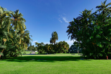 Naklejka premium A lawn in Capodimonte Park in Naples, Italy.