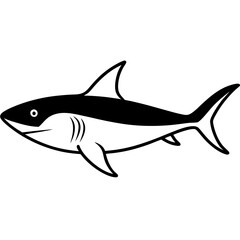 shark silhouette vector illustrator