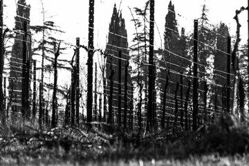 natura in controluce