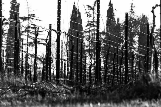 natura in controluce