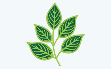  Green leaf ecology icon, leaf isolated on transparent background. Environment and Nature Symbol, Vector illustration.