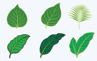  green leaf ecology icon, leaf isolated on transparent background. Environment and Nature Symbol, Vector illustration.