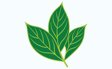 Obraz premium green leaf ecology icon, leaf isolated on transparent background. Environment and Nature Symbol, Vector illustration.