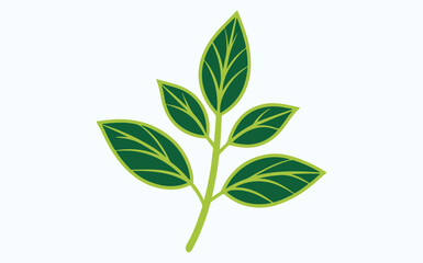 Obraz premium green leaf ecology icon, leaf isolated on transparent background. Environment and Nature Symbol, Vector illustration.