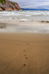 Footprints on the sandy beach of the Bay of Biscay