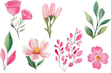 set of pink tulips
