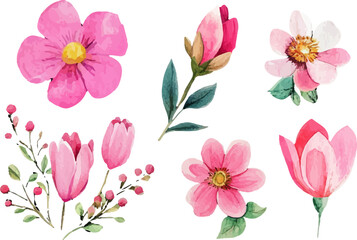 set of pink flowers