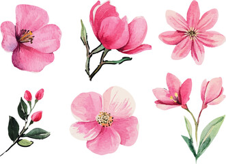 set of pink and white flowers