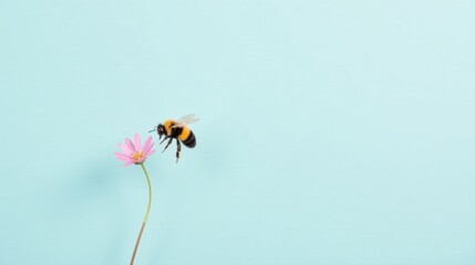 A bumblebee in flight approaches a delicate pink flower against a pastel blue background