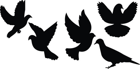 Black silhouette of pigeon, Flying pigeons vector 