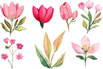 Obraz premium set of pink tulips