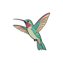 hummingbird vector art and illustration