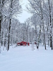 A serene winter landscape featuring a snow-covered forest with a bright red barn. The tranquil setting evokes feelings of peace and solitude amidst the natural beauty of a snowy day.