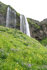 Icelandic scenery, Meadows and Waterfalls
