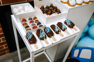 Candy bar, lots of decorated sweets on the table: chocolate ice cream, marshmallows, cupcakes, cookies, cakes, cream pastries. Food photography.