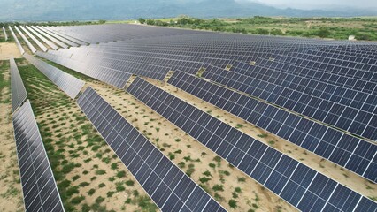 solar panels on a farm