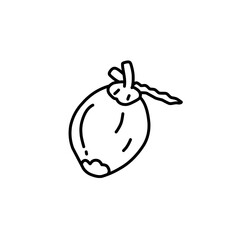 coconut line icon