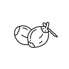 coconut line icon