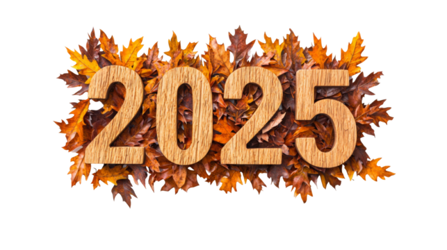 Celebration of 2025 a modern new year invitation design with gold accents