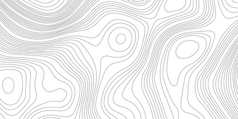 Abstract topographic contours map background, Vector contour topographic map background. Topography and geography map grid abstract backdrop, Modern design with White background.