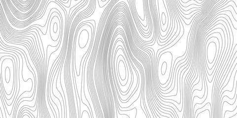 Abstract topographic contours map background, Vector contour topographic map background. Topography and geography map grid abstract backdrop, Modern design with White background.