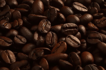 Obraz premium Coffee beans with natural sheen in a rich dark brown tone