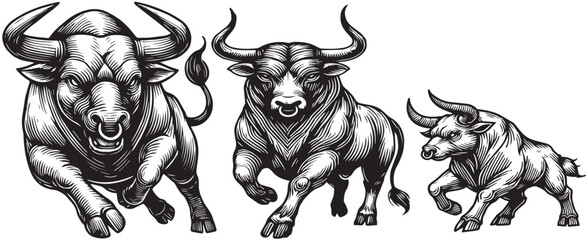 collection of bulls in aggressive running poses vector