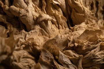 Detailed view of ginger roots with complex organic textures