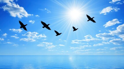 Fototapeta premium Soaring Birds in Bright Ocean Sunlight