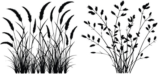 Graceful Grass Flower and Tree Silhouette Vector