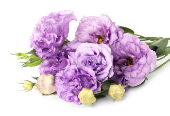 Obraz premium Beautiful violet eustoma flowers with green leaves isolated on white