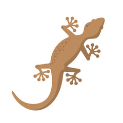 Gecko lizard vector illustration Simple reptile Clipart