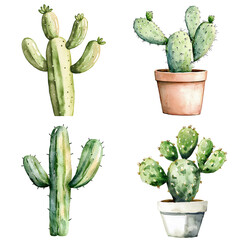 Fototapeta premium Cacti collection home decor botanical art indoor environment aesthetic viewpoint nature concept