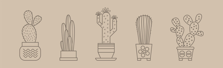 Cactus Succulent Plant Grow in Pot Line Vector Set
