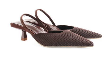 Pair of stylish women's shoes isolated on white