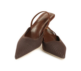 Pair of stylish brown women's shoes isolated on white