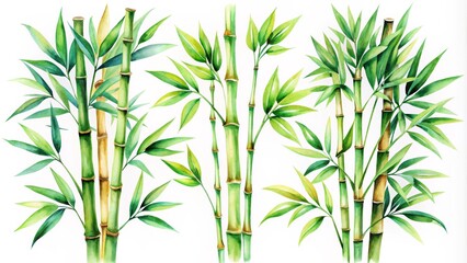 Fototapeta premium Watercolor Bamboo Lush Green Foliage and Stalks