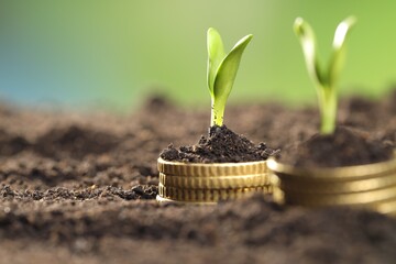 Stacks of coins with green plants on soil against blurred background, closeup and space for text. Money growth concept