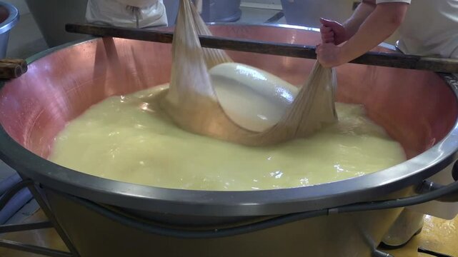 Production of a form of Parmesan cheese - Parmigiano Reggiano - in a dairy in the province of Reggio Emilia, Italy