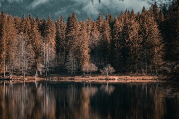 Autumn forest reflection in a serene lake.
