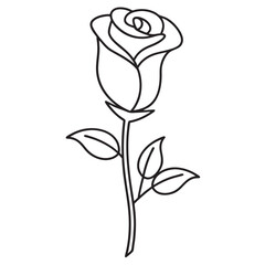 Rose flower line art vector illustration on a white background