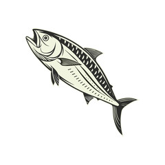 Skipjack shad alosa chrysochloris, fish from North America vector illustration