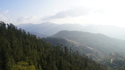 Landscape Mountains Trees Snow