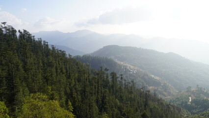 Landscape Mountains Trees Snow