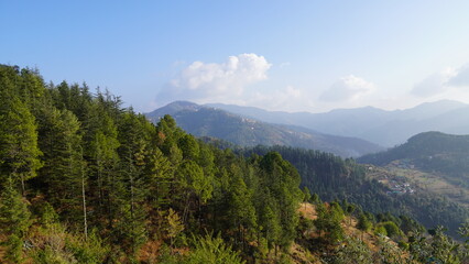 Obraz premium Landscape Mountains Trees Snow