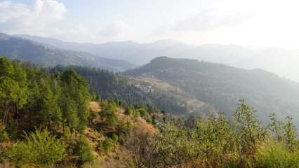 Naklejka premium Landscape Mountains Trees Snow