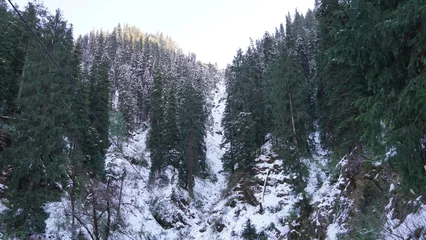 Gardinen Landscape Mountains Trees Snow © Leo