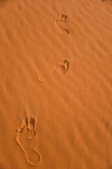 Esperienza nel deserto marocchino