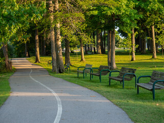 Autumn alley in the park with a bench.